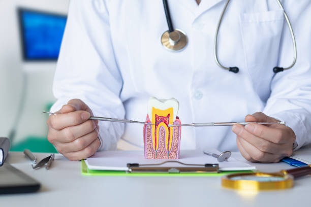 Best Emergency Dentist for Lost Fillings or Crowns in Orland Hls, IL